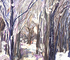 Winterful Day