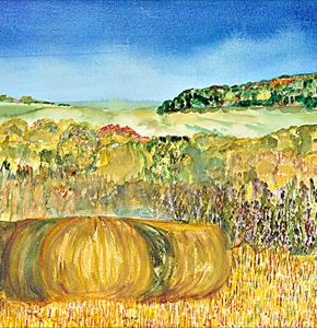 Hay Rolls in the Iowa fields.