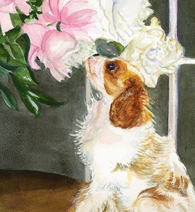Alvear-Cavalier-King-Charles-Spaniel