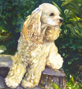 Clancy-Cocker-Spaniel