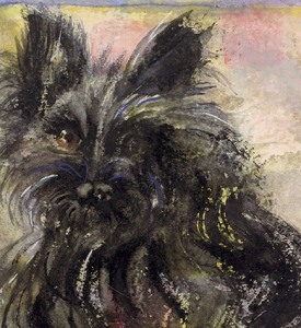 Lulu-Berlin-Circus-Dog