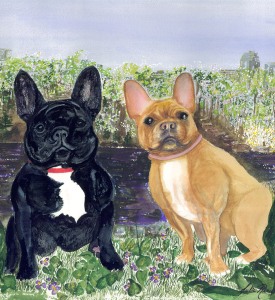 Squid-Ginger-French-Bull-Dogs