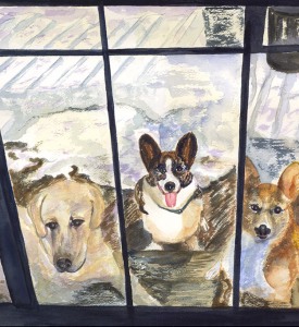 Thanksgiving-Visitors-Corgis-Golden-Retriever