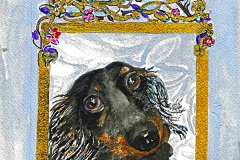 Guinness the Dachshund