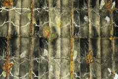 Cocooning-by-Rita-Price