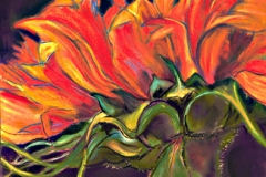 Sunflowers-by-Susan-Willis