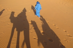 Walking-in-the-Desert-by-Laura-Rodriguez