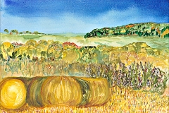 Hay Rolls in the Iowa fields.