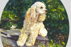 Clancy-Cocker-Spaniel