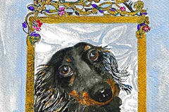Guinness the Dachshund