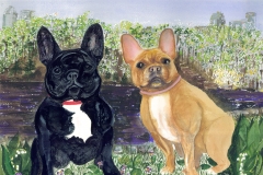 Squid-Ginger-French-Bull-Dogs