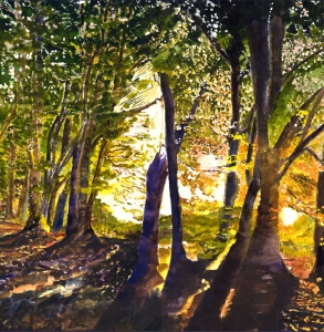 Forest at Dawn, Senonches, France