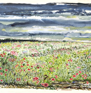Poppies