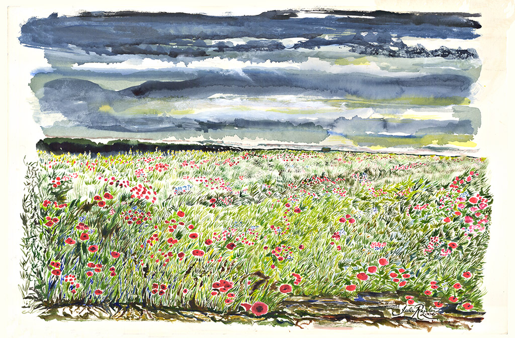 Poppy field in central France